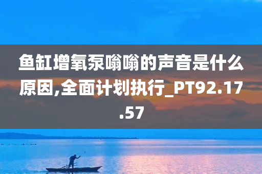 鱼缸增氧泵嗡嗡的声音是什么原因,全面计划执行_PT92.17.57