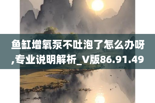 鱼缸增氧泵不吐泡了怎么办呀,专业说明解析_V版86.91.49