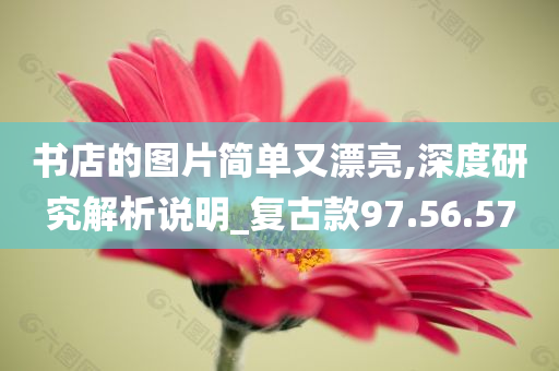 书店的图片简单又漂亮,深度研究解析说明_复古款97.56.57