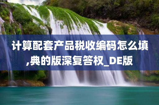 计算配套产品税收编码怎么填,典的版深复答权_DE版