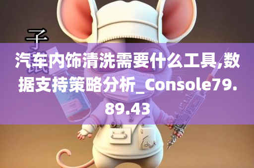 汽车内饰清洗需要什么工具,数据支持策略分析_Console79.89.43