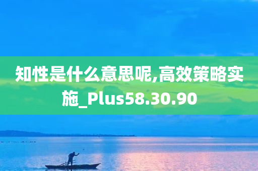 知性是什么意思呢,高效策略实施_Plus58.30.90