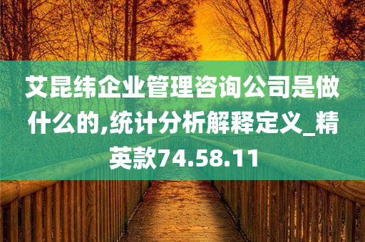 艾昆纬企业管理咨询公司是做什么的,统计分析解释定义_精英款74.58.11