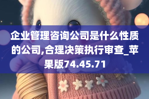 企业管理咨询公司是什么性质的公司,合理决策执行审查_苹果版74.45.71