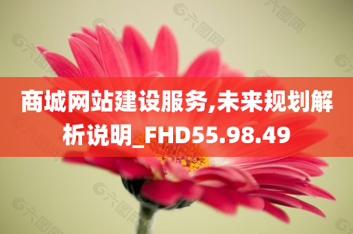 商城网站建设服务,未来规划解析说明_FHD55.98.49