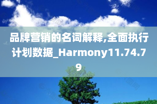 品牌营销的名词解释,全面执行计划数据_Harmony11.74.79