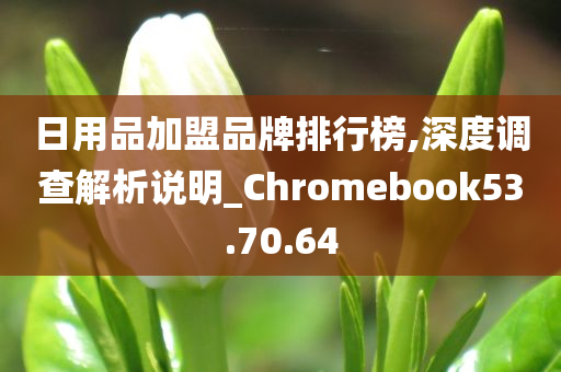 日用品加盟品牌排行榜,深度调查解析说明_Chromebook53.70.64