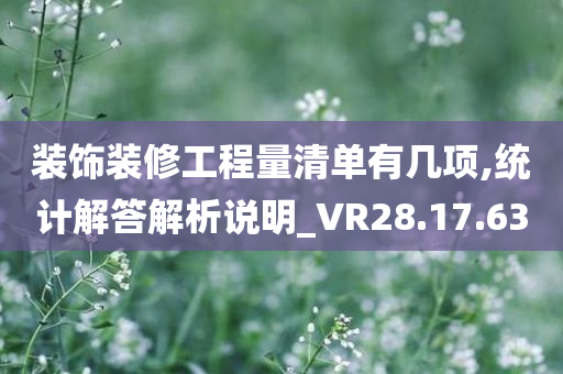 装饰装修工程量清单有几项,统计解答解析说明_VR28.17.63