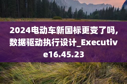 2024电动车新国标更变了吗,数据驱动执行设计_Executive16.45.23