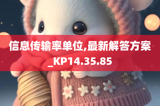 信息传输率单位,最新解答方案_KP14.35.85