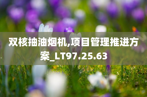 双核抽油烟机,项目管理推进方案_LT97.25.63