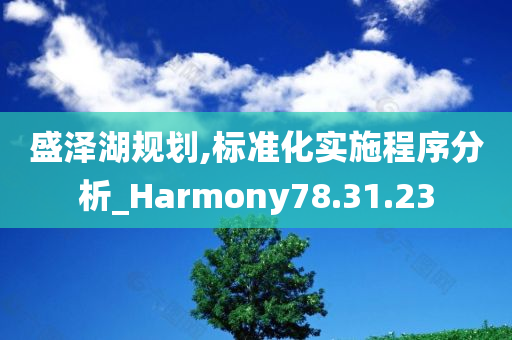 盛泽湖规划,标准化实施程序分析_Harmony78.31.23