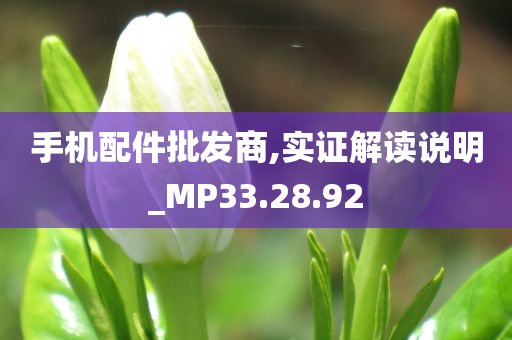 手机配件批发商,实证解读说明_MP33.28.92