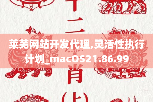 莱芜网站开发代理,灵活性执行计划_macOS21.86.99