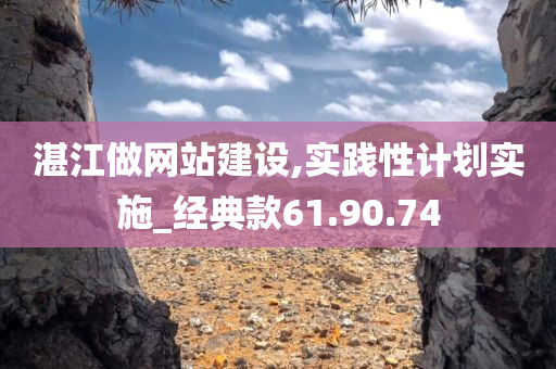 湛江做网站建设,实践性计划实施_经典款61.90.74