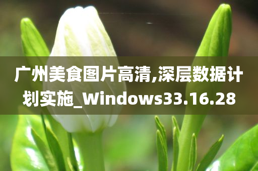 广州美食图片高清,深层数据计划实施_Windows33.16.28