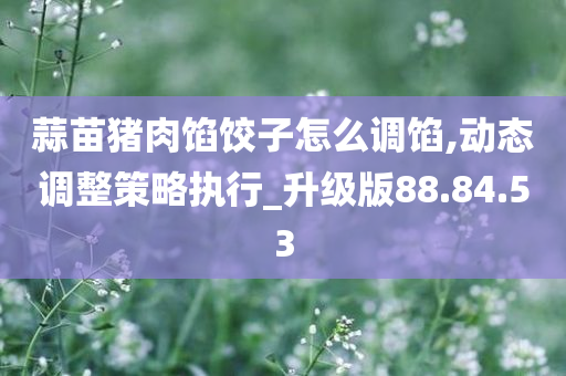 蒜苗猪肉馅饺子怎么调馅,动态调整策略执行_升级版88.84.53