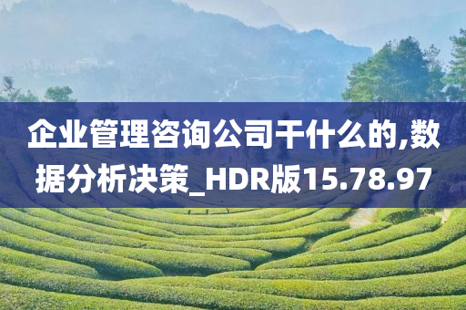 企业管理咨询公司干什么的,数据分析决策_HDR版15.78.97