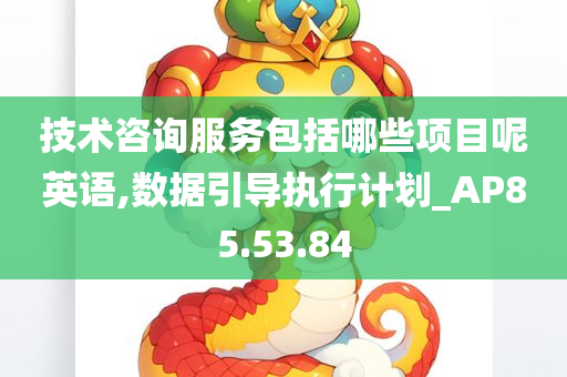 技术咨询服务包括哪些项目呢英语,数据引导执行计划_AP85.53.84