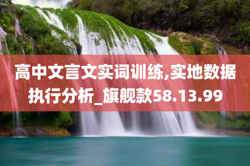 高中文言文实词训练,实地数据执行分析_旗舰款58.13.99