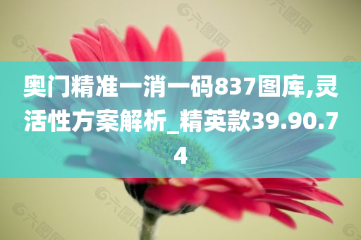 奥门精准一消一码837图库,灵活性方案解析_精英款39.90.74