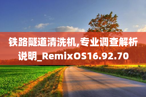 铁路隧道清洗机,专业调查解析说明_RemixOS16.92.70