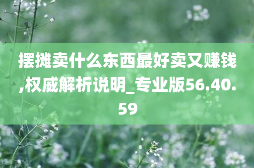 摆摊卖什么东西最好卖又赚钱,权威解析说明_专业版56.40.59