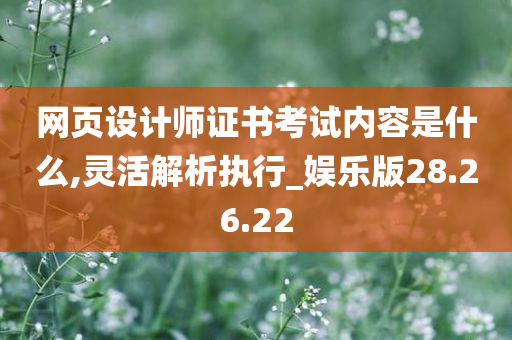 网页设计师证书考试内容是什么,灵活解析执行_娱乐版28.26.22