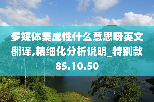 多媒体集成性什么意思呀英文翻译,精细化分析说明_特别款85.10.50