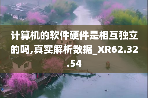 计算机的软件硬件是相互独立的吗,真实解析数据_XR62.32.54