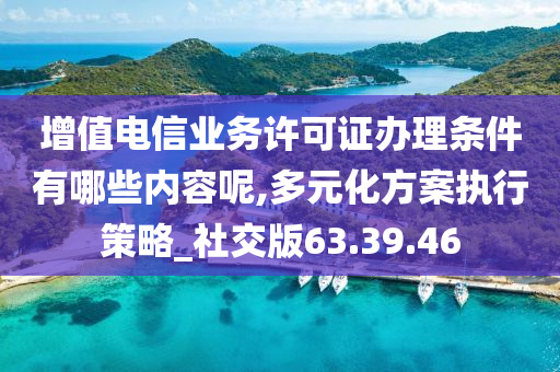 增值电信业务许可证办理条件有哪些内容呢,多元化方案执行策略_社交版63.39.46