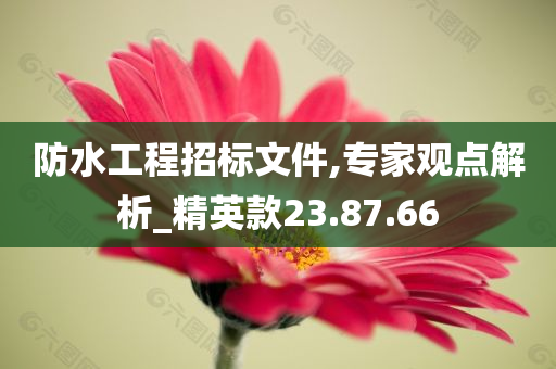 防水工程招标文件,专家观点解析_精英款23.87.66