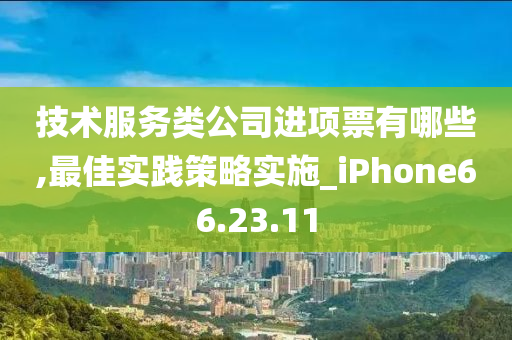 技术服务类公司进项票有哪些,最佳实践策略实施_iPhone66.23.11