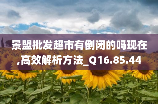 景盟批发超市有倒闭的吗现在,高效解析方法_Q16.85.44