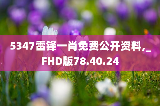 5347雷锋一肖免费公开资料,_FHD版78.40.24