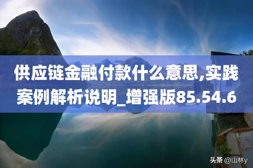 供应链金融付款什么意思,实践案例解析说明_增强版85.54.60