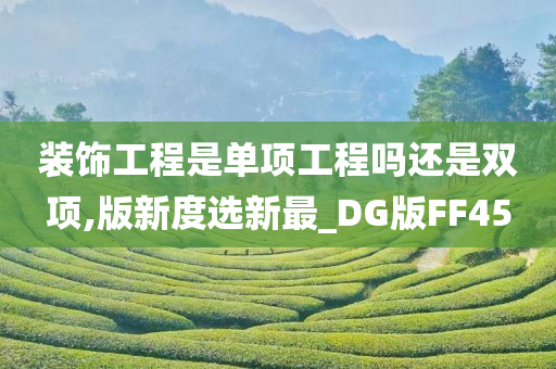 装饰工程是单项工程吗还是双项,版新度选新最_DG版FF45