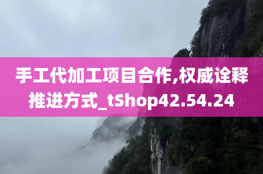 手工代加工项目合作,权威诠释推进方式_tShop42.54.24