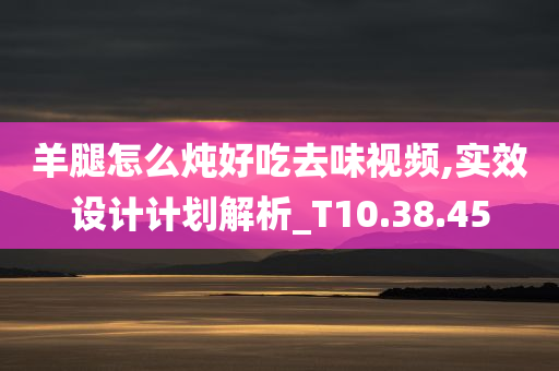 羊腿怎么炖好吃去味视频,实效设计计划解析_T10.38.45