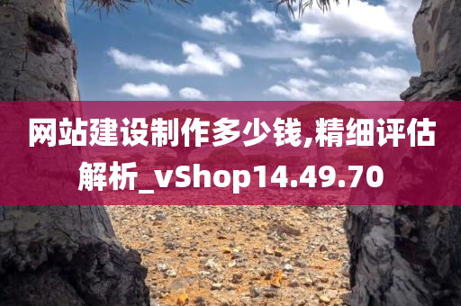 网站建设制作多少钱,精细评估解析_vShop14.49.70