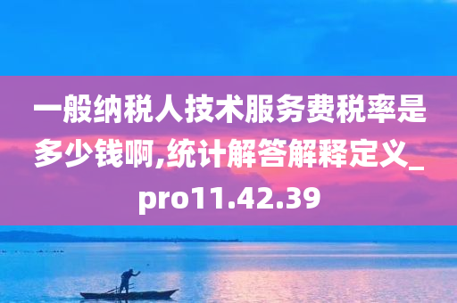 一般纳税人技术服务费税率是多少钱啊,统计解答解释定义_pro11.42.39