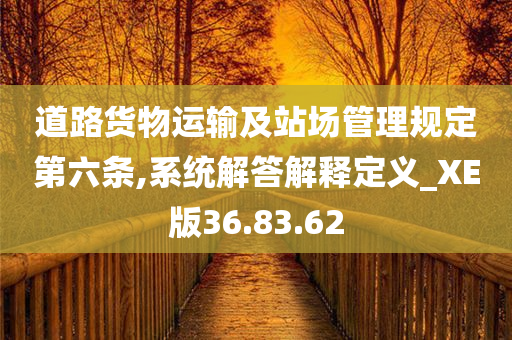 道路货物运输及站场管理规定第六条,系统解答解释定义_XE版36.83.62