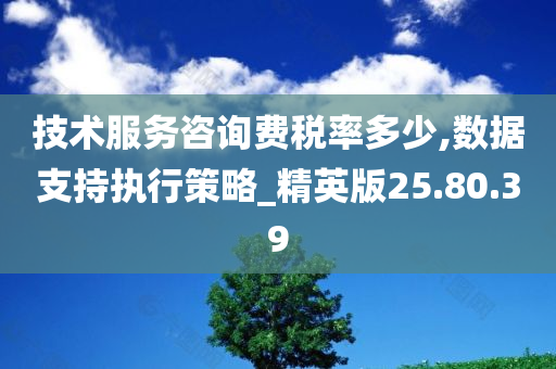 技术服务咨询费税率多少,数据支持执行策略_精英版25.80.39