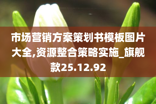 市场营销方案策划书模板图片大全,资源整合策略实施_旗舰款25.12.92