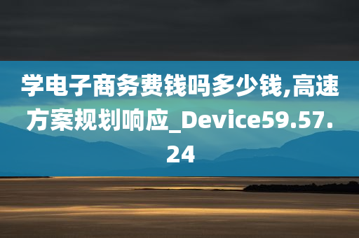 学电子商务费钱吗多少钱,高速方案规划响应_Device59.57.24