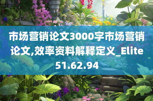 市场营销论文3000字市场营销论文,效率资料解释定义_Elite51.62.94