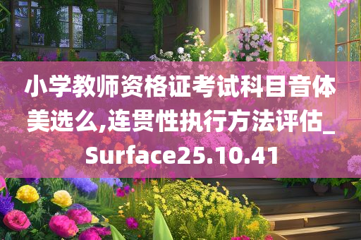 小学教师资格证考试科目音体美选么,连贯性执行方法评估_Surface25.10.41