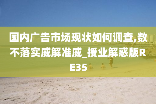 国内广告市场现状如何调查,数不落实威解准威_授业解惑版RE35