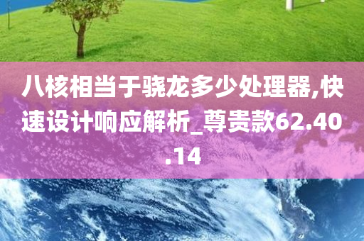 八核相当于骁龙多少处理器,快速设计响应解析_尊贵款62.40.14