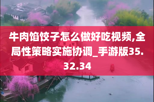 牛肉馅饺子怎么做好吃视频,全局性策略实施协调_手游版35.32.34